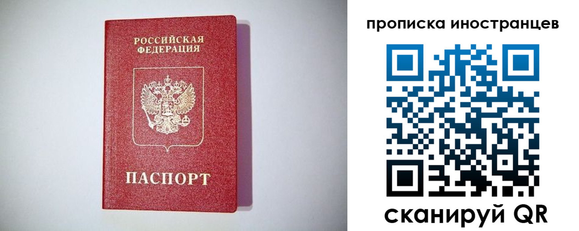 временная регистрация купить в Димитровграде